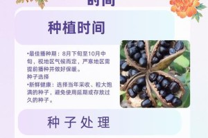 假龙头种植的时间和方法（打造美丽花园，从假龙头开始种植）