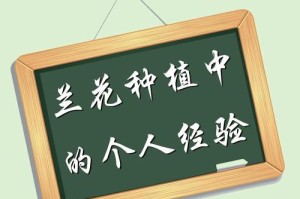 兰花病虫害防治方法与技术措施（掌握有效方法保护兰花健康生长）