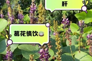 以葛花树是怎么种植（探索葛花树的种植技巧和方法）