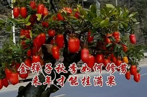 金弹子何时进行剪枝？（如何确定最佳剪枝时机及方法）