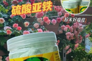 梅花浇硫酸亚铁的实用技巧（种植梅花必备知识，硫酸亚铁的正确使用方法）
