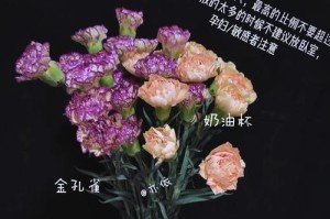 康乃馨的生长过程（从萌芽到盛放，探究康乃馨的成长之路）