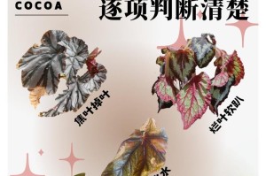 揭秘海棠叶子的腐烂之谜（探索海棠叶子腐烂现象的原因及应对方法）