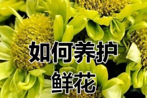 延长鲜花寿命的小窍门（保持鲜花的新鲜与美丽，让它们持久绽放）