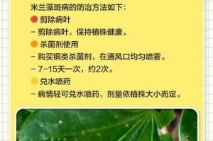 怎样拯救米兰扦插叶子枯了的情况（教你修复米兰扦插叶子枯萎的有效方法）