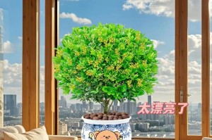 如何处理米兰花茎上的虫害（消除虫害，让米兰花健康成长）