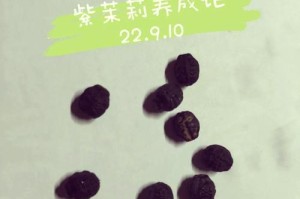 茉利花的繁殖技巧（简单易行的繁殖方法，让你轻松拥有茉利花园）
