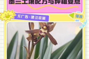 东北墨兰冬季浇水的技巧（科学浇水，保护东北墨兰的生长和健康）