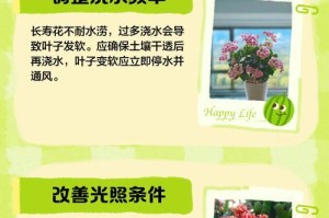 长寿花的换盆换土技巧（打造健康长寿花，享受盆栽养花乐趣）