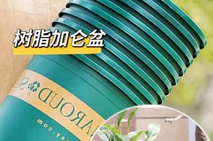 加仑盆适合种什么植物？（探究不同植物在加仑盆中的适应性）