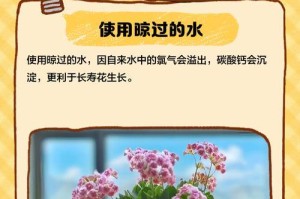 解决花草因过度浇水而蔫了的方法（怎样修复花草受到过度浇水的伤害）