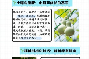 农村大葫芦种植技巧（全面掌握大葫芦种植的关键要点）