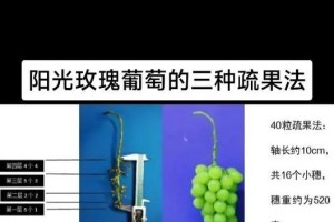 如何将葡萄捆成美丽的花朵（简单易学的葡萄花束制作方法）